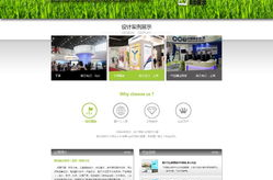 朝阳网站建设公司,专业定制，助力企业打造卓越网络形象”