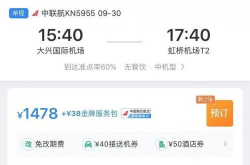 大兴机场机票,价格优势与航线布局解析”