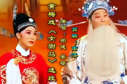 黄梅戏女驸马选段,传奇爱情与智慧抗争的舞台演绎