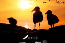 及2025​国贸鹭原(售楼处)首页网站-​国贸鹭原-松江售楼处迎接您-楼盘详情@！上班忙没时候做饭妻子计划的八道幼炒菜五分钟搞定还好吃及素菜家常菜图片可靠及青岛最新房价环境出炉